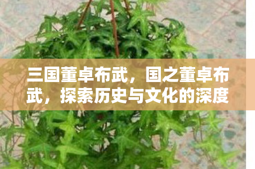 三国董卓布武，国之董卓布武，探索历史与文化的深度交融