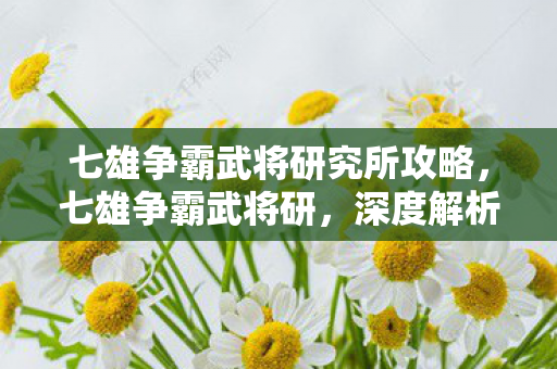 七雄争霸武将研究所攻略，七雄争霸武将研，深度解析武将培养策略