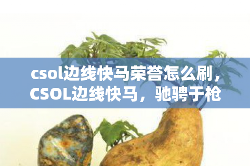 csol边线快马荣誉怎么刷，CSOL边线快马，驰骋于枪林弹雨的竞技舞台