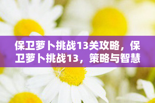 保卫萝卜挑战13关攻略，保卫萝卜挑战13，策略与智慧的双重考验