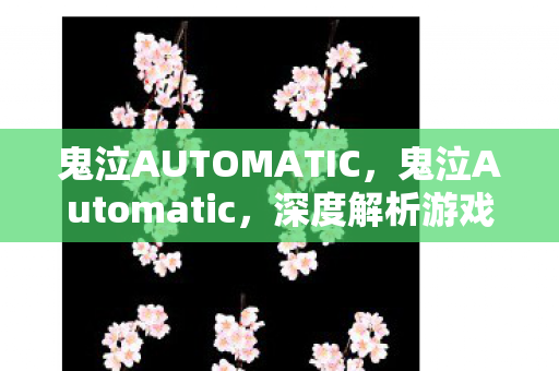 鬼泣AUTOMATIC，鬼泣Automatic，深度解析游戏自动化工具的魅力与挑战