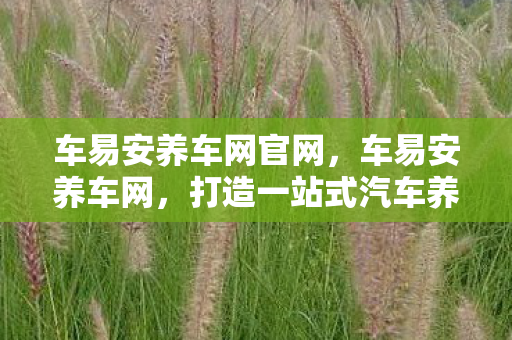 车易安养车网官网，车易安养车网，打造一站式汽车养护新体验