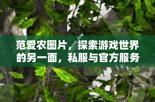 范爱农图片，探索游戏世界的另一面，私服与官方服务器的独特魅力
