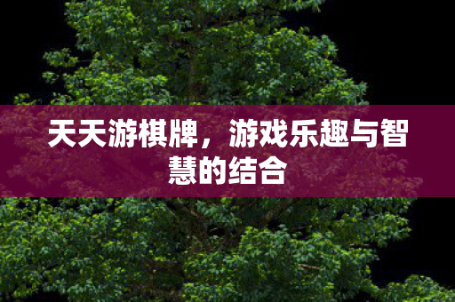 天天游棋牌,游戏乐趣与智慧的结合 天天游棋牌,游戏乐趣与智慧的结合