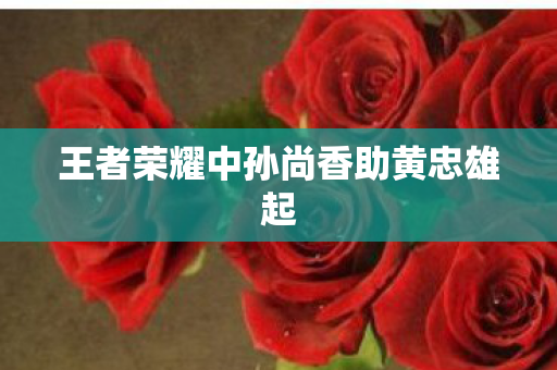 王者荣耀中孙尚香助黄忠雄起