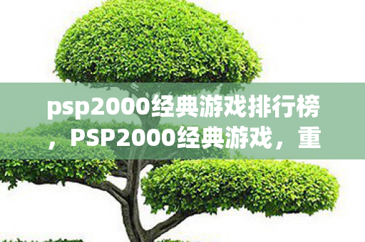 psp2000经典游戏排行榜，PSP2000经典游戏，重温那些年的回忆