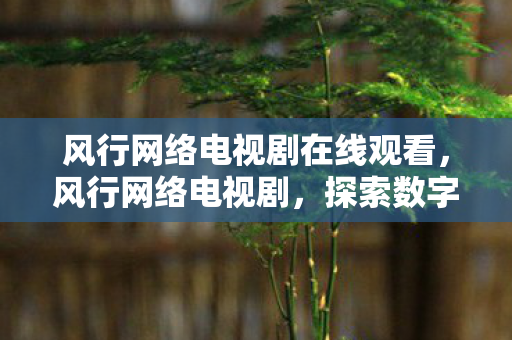 风行网络电视剧在线观看，风行网络电视剧，探索数字时代的娱乐新纪元