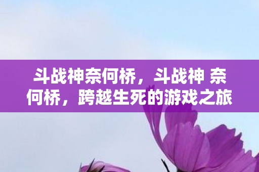 斗战神奈何桥，斗战神 奈何桥，跨越生死的游戏之旅