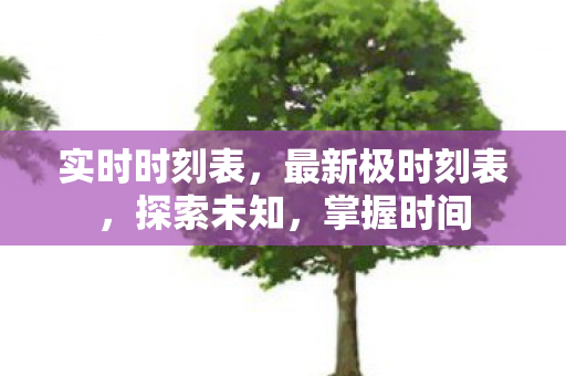 实时时刻表，最新极时刻表，探索未知，掌握时间