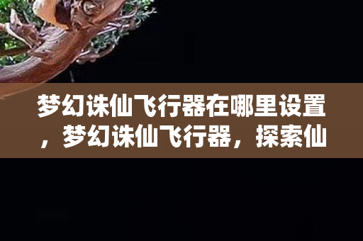 梦幻诛仙飞行器在哪里设置，梦幻诛仙飞行器，探索仙侠世界的空中奇旅