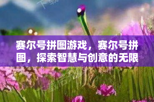 赛尔号拼图游戏，赛尔号拼图，探索智慧与创意的无限可能