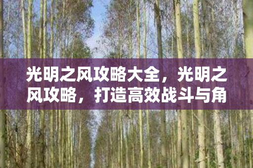 光明之风攻略大全，光明之风攻略，打造高效战斗与角色发展的全面指南