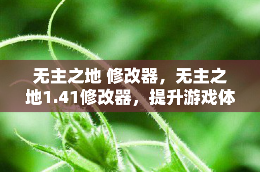 无主之地 修改器，无主之地1.41修改器，提升游戏体验的神奇工具