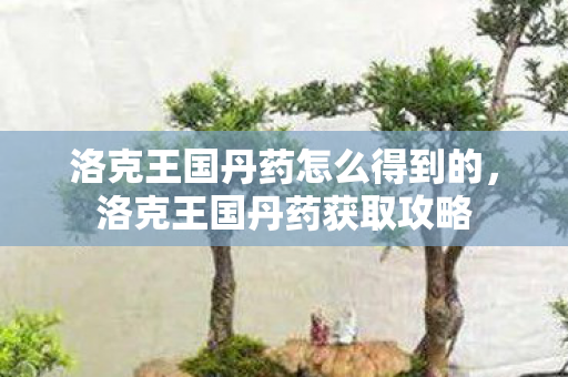 洛克王国丹药怎么得到的，洛克王国丹药获取攻略