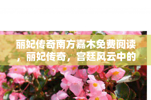 丽妃传奇南方嘉木免费阅读，丽妃传奇，宫廷风云中的传奇女性