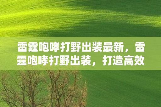 雷霆咆哮打野出装最新，雷霆咆哮打野出装，打造高效野区统治力