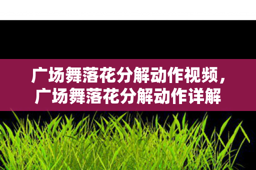 广场舞落花分解动作视频，广场舞落花分解动作详解