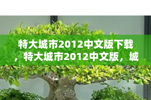特大城市2012中文版下载，特大城市2012中文版，城市模拟与建设的深度探索