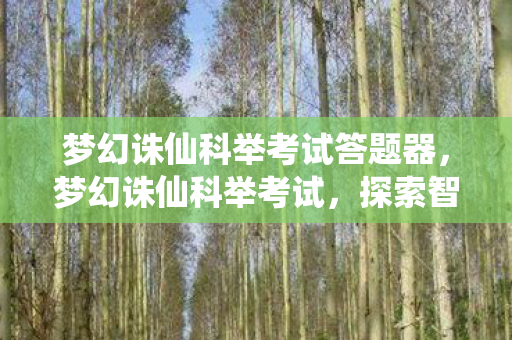 梦幻诛仙科举考试答题器，梦幻诛仙科举考试，探索智慧与策略的盛宴