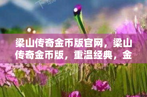 梁山传奇金币版官网，梁山传奇金币版，重温经典，金币助力畅游江湖