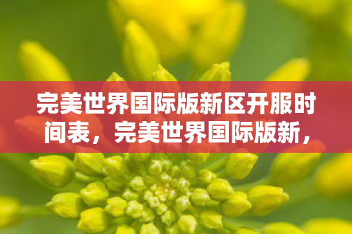 完美世界国际版新区开服时间表，完美世界国际版新，探索未知世界的奇幻之旅