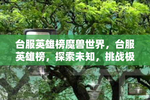 台服英雄榜魔兽世界，台服英雄榜，探索未知，挑战极限