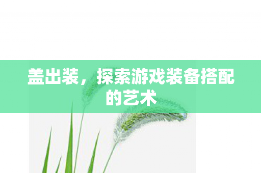 盖出装，探索游戏装备搭配的艺术
