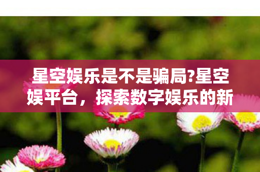 星空娱乐是不是骗局?星空娱平台，探索数字娱乐的新纪元
