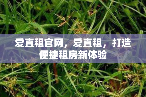 爱直租官网，爱直租，打造便捷租房新体验