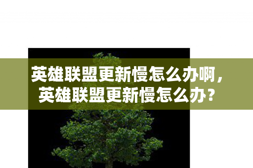 英雄联盟更新慢怎么办啊，英雄联盟更新慢怎么办？