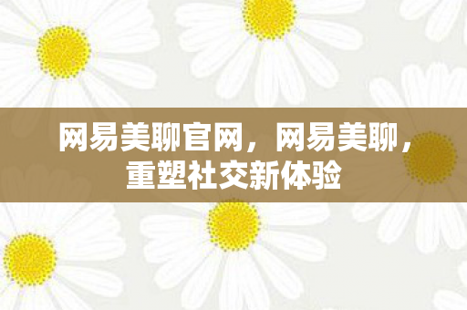 网易美聊官网，网易美聊，重塑社交新体验