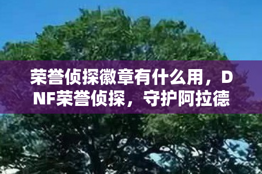 荣誉侦探徽章有什么用，DNF荣誉侦探，守护阿拉德大陆的正义之眼