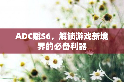 ADC赋S6，解锁游戏新境界的必备利器
