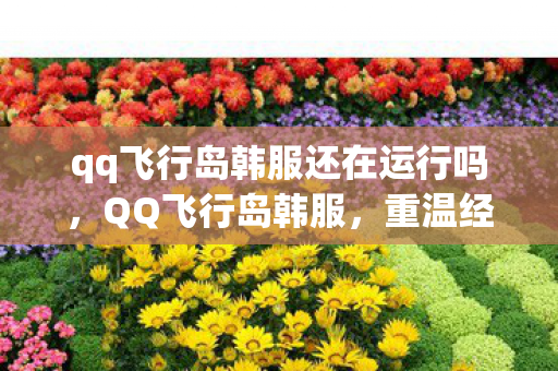 qq飞行岛韩服还在运行吗，QQ飞行岛韩服，重温经典，探索无限可能