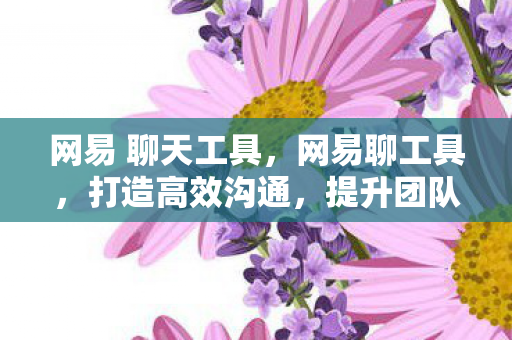 网易 聊天工具，网易聊工具，打造高效沟通，提升团队协作