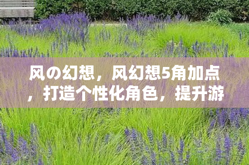 风の幻想，风幻想5角加点，打造个性化角色，提升游戏战斗力的关键