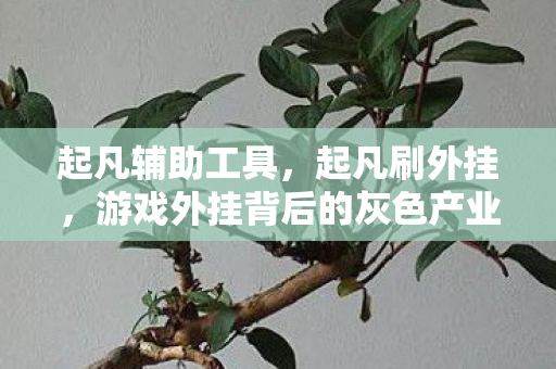 起凡辅助工具，起凡刷外挂，游戏外挂背后的灰色产业链