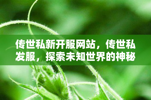传世私新开服网站，传世私发服，探索未知世界的神秘钥匙