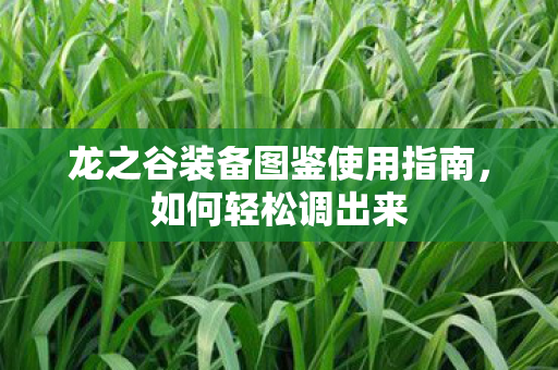 龙之谷装备图鉴使用指南,如何轻松调出来 龙之谷装备图鉴使用指南,如何轻松调出来
