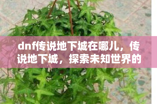 dnf传说地下城在哪儿，传说地下城，探索未知世界的奇幻之旅