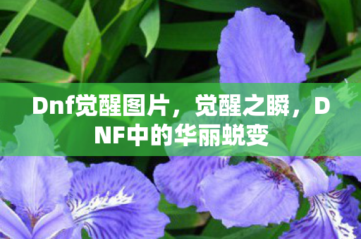 Dnf觉醒图片,觉醒之瞬,DNF中的华丽蜕变 Dnf觉醒图片,觉醒之瞬,DNF中的华丽蜕变