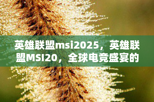 英雄联盟msi2025，英雄联盟MSI20，全球电竞盛宴的激情与荣耀