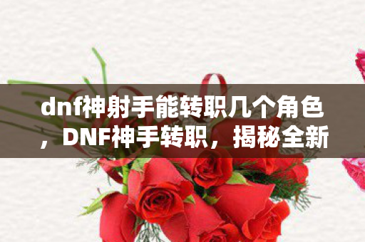 dnf神射手能转职几个角色，DNF神手转职，揭秘全新职业千手罗汉的崛起之路