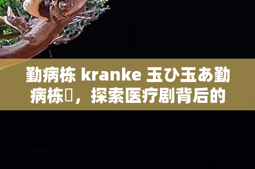 勤病栋 kranke 玉ひ玉あ勤病栋弐，探索医疗剧背后的医疗体系与人文关怀
