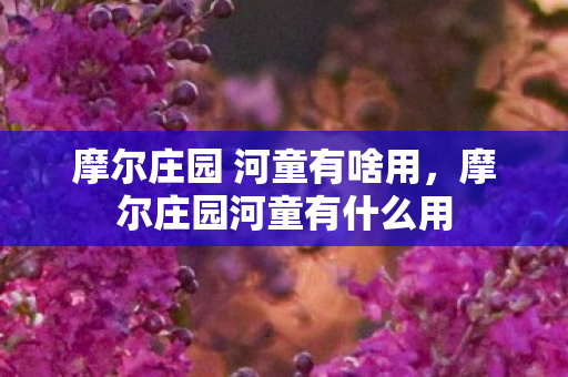 摩尔庄园 河童有啥用，摩尔庄园河童有什么用