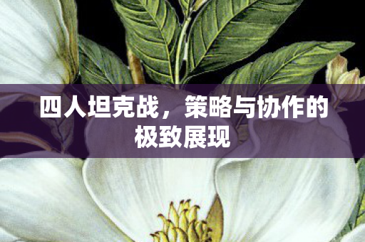 四人坦克战，策略与协作的极致展现