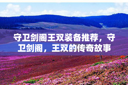 守卫剑阁王双装备推荐，守卫剑阁，王双的传奇故事