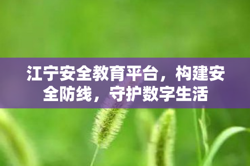 江宁安全教育平台，构建安全防线，守护数字生活
