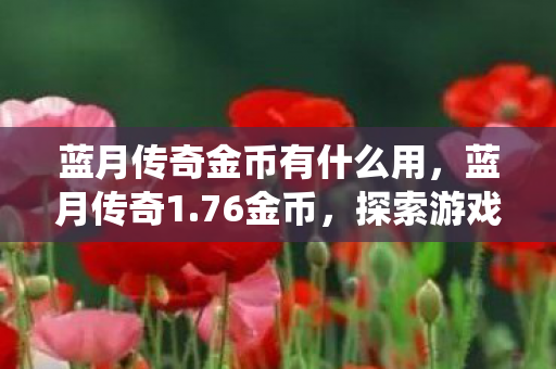 蓝月传奇金币有什么用，蓝月传奇1.76金币，探索游戏经济系统的奥秘