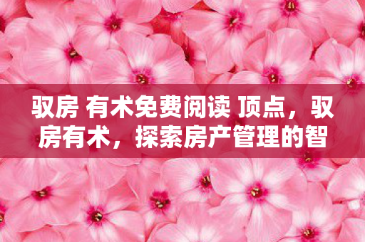 驭房 有术免费阅读 顶点，驭房有术，探索房产管理的智慧之道